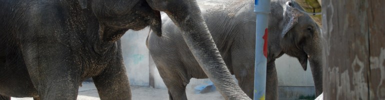 Ruth and Emily / photo by Susan Hagner for WBUR